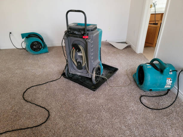 Best Water damage restoration near me  in Kenwood, OH
