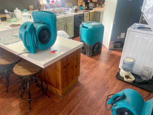 Best Water damage mitigation services  in Kenwood, OH