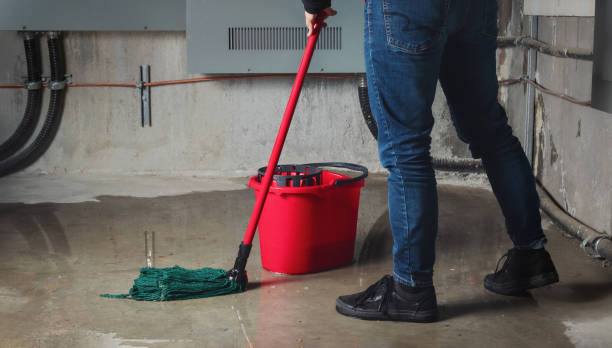 Best Basement water damage restoration  in Kenwood, OH